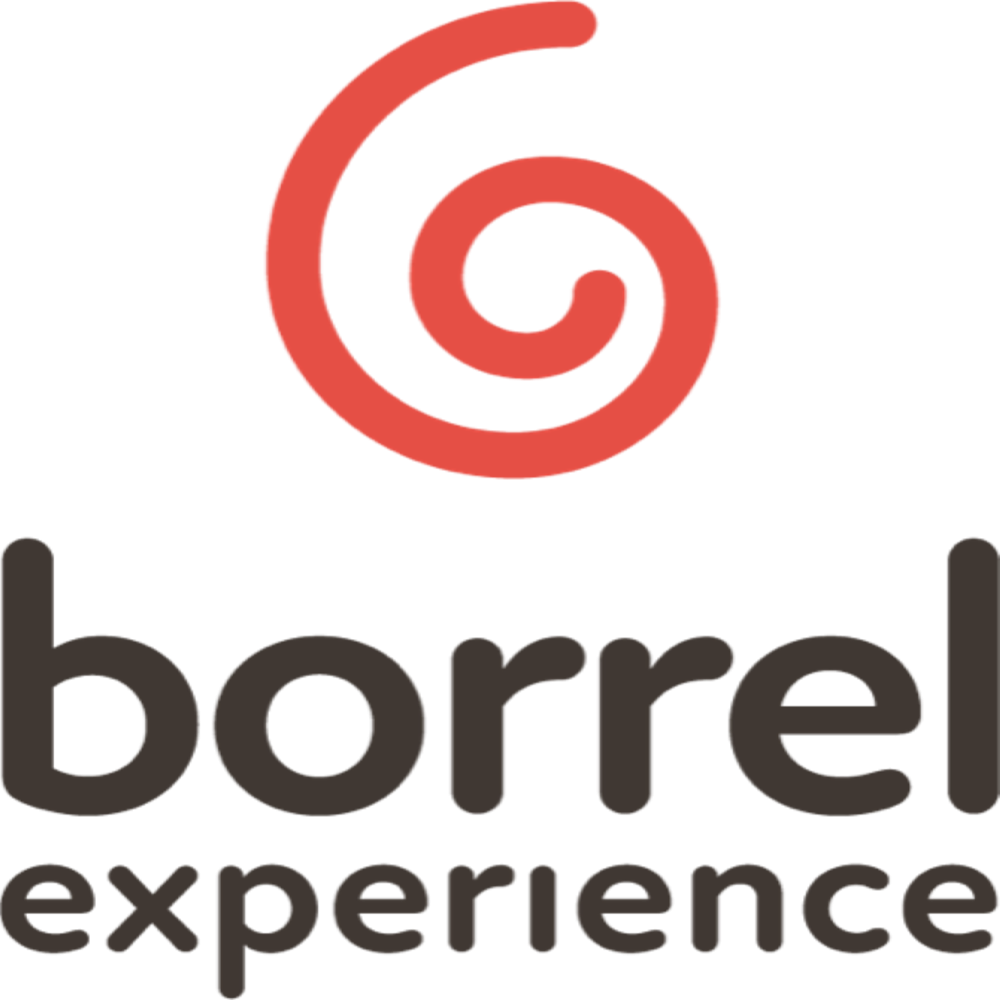 logo borrelexperience.nl