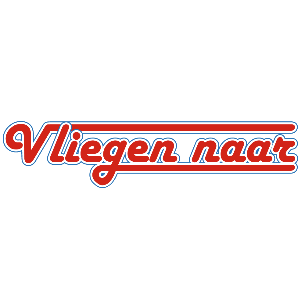 logo vliegennaar.nl