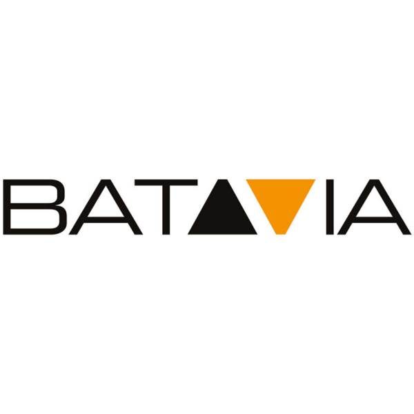 Bedrijfs logo van bataviastore