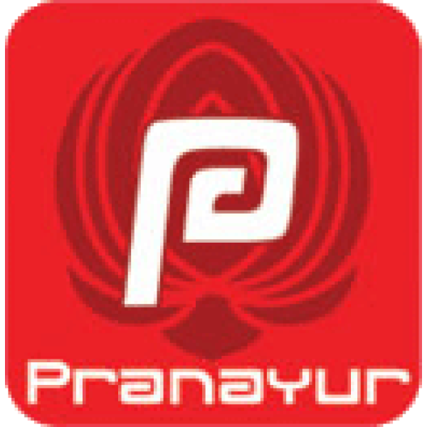 Bedrijfs logo van pranayur