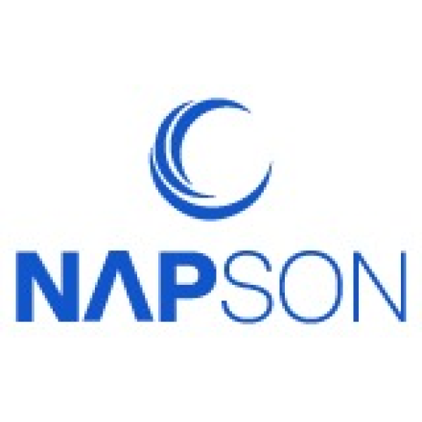 logo napson