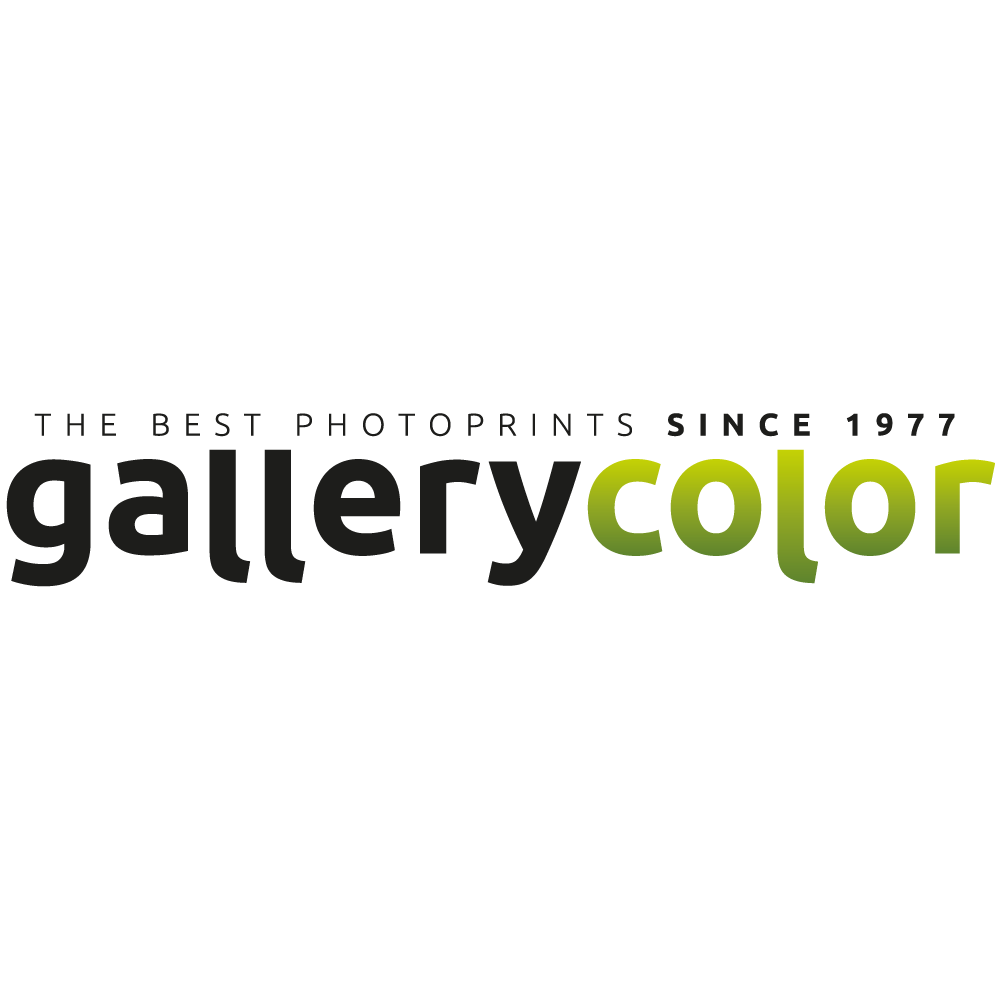 gallerycolor.nl logo