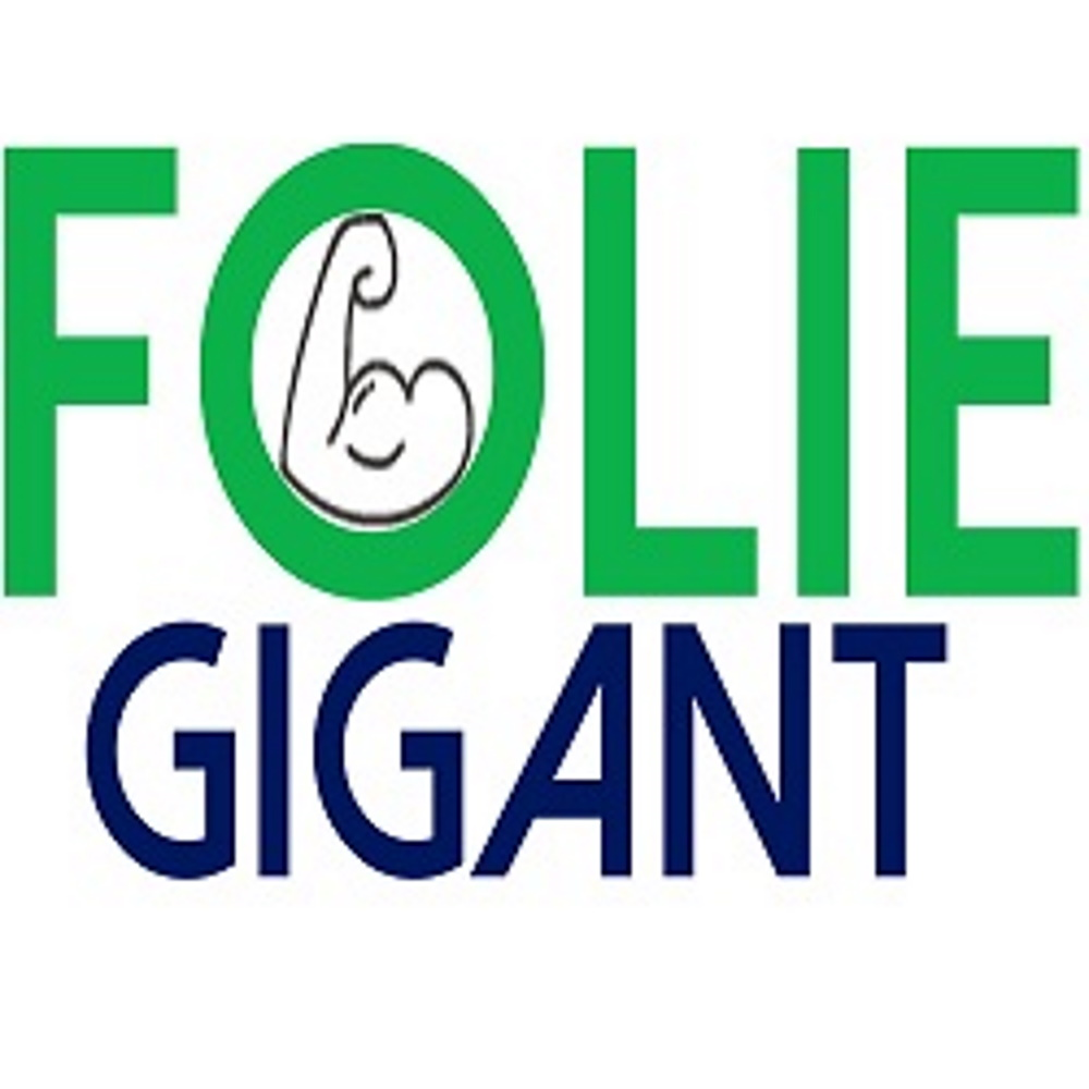 logo foliegigant.nl