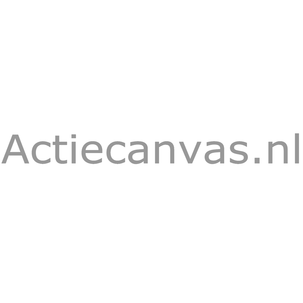 actiecanvas.nl logo
