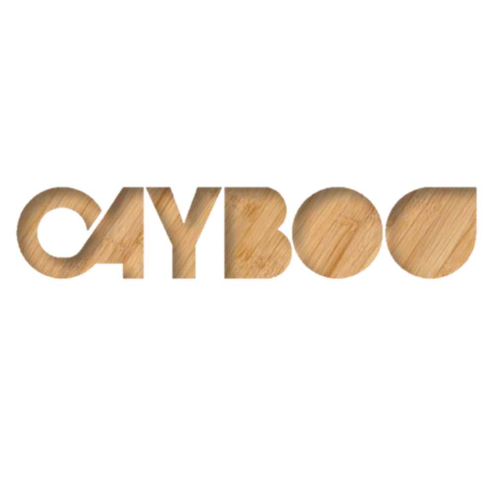 Bedrijfs logo van cayboo.nl