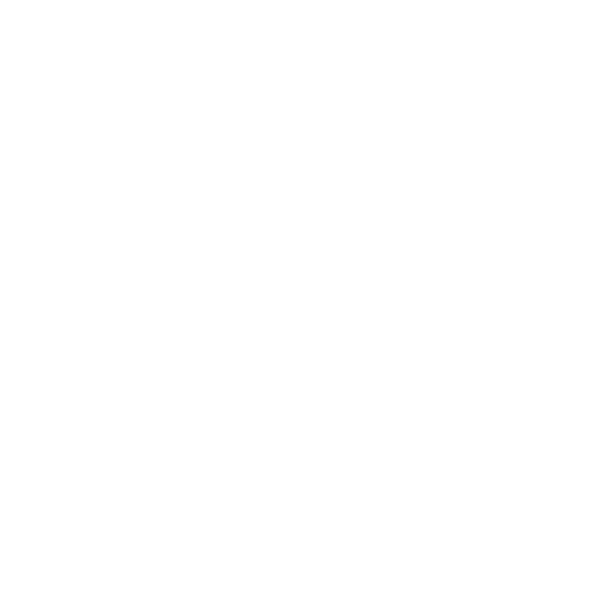 logo carsub.nl