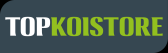 Bedrijfs logo van top koistore
