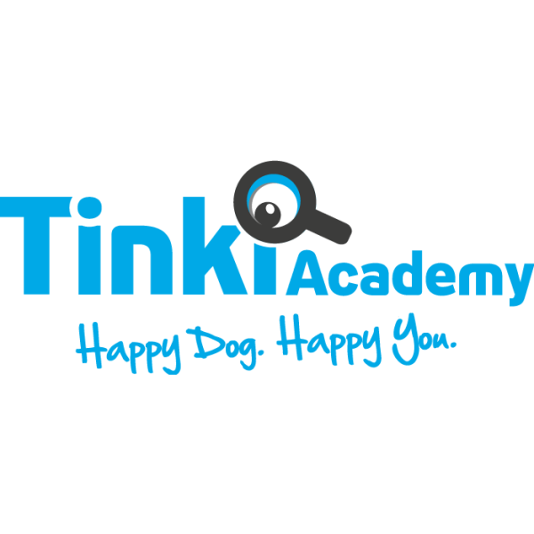 logo 123tinki academy