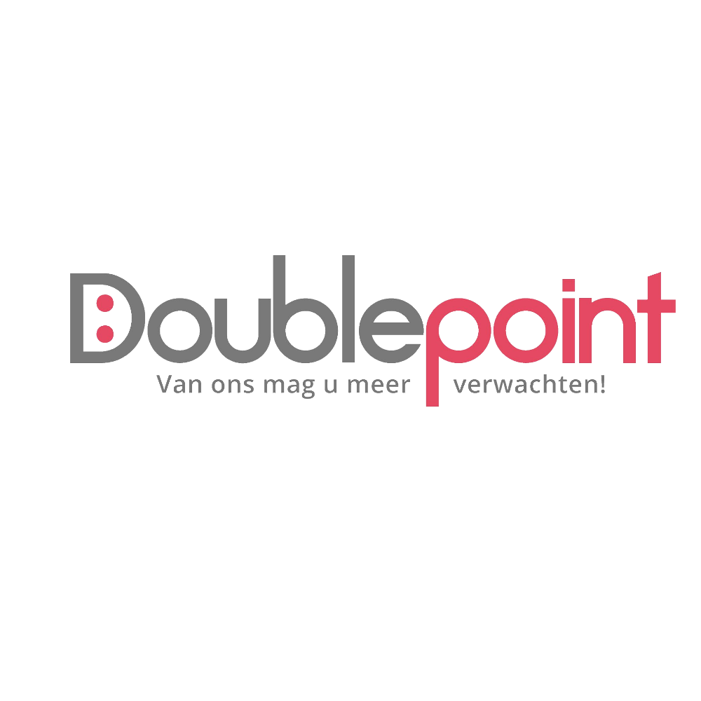 logo doublepoint.nl