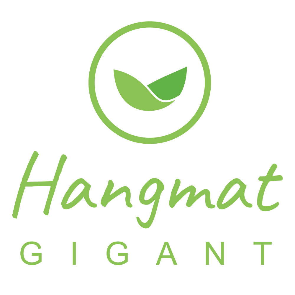 Bedrijfs logo van hangmatgigant.nl