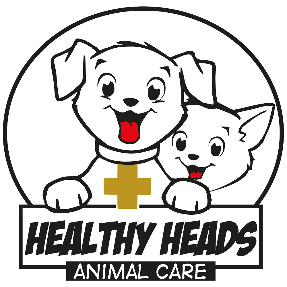 logo healthyheads.nl