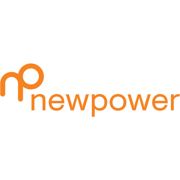 Bedrijfs logo van newpower
