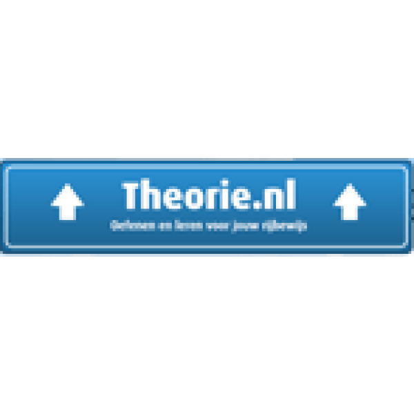 Bedrijfs logo van theorie.nl