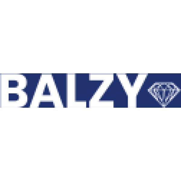 balzy logo