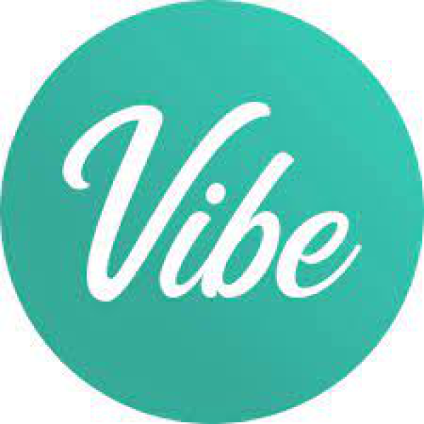 Bedrijfs logo van vibe app
